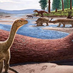 Desvelan el dinosaurio más antiguo de África