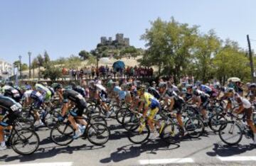 El pelotón durante la cuarta etapa de La Vuelta Ciclista a España 2014 en su 69 edición, que ha comenzado en Mairena del Alcor (Sevilla) y terminado en Córdoba, con una distancia de 164,7 kilómetros.