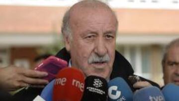 Del Bosque: "Claro que Torres puede volver a la Selección"