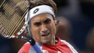 David Ferrer.