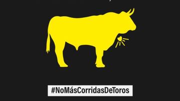 Prohibición corridas de toros: en qué ciudades se llevará a cabo y cuándo empezará