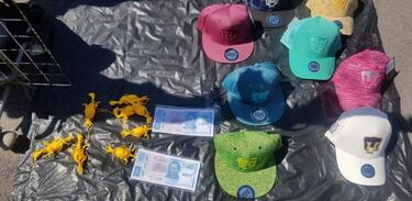 En CU venden billetes falsos para recibir a Nicolás Castillo
