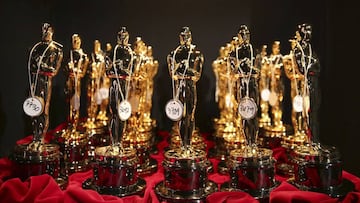 Academy Award winners take home the famous Oscars statuette but there are more prizes to go around at the ceremony.