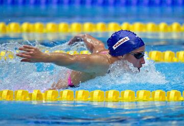 También en 2013 se celebró el Europeo de Hering, donde Mireia Belmonte consiguió un oro en 200 mariposa y otro oro en los 800 libres.
