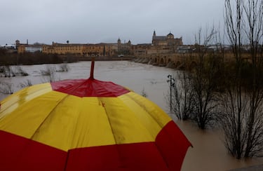Un hombre sostiene un paraguas con los colores de la bandera española mientras observa la inundación del río Guadalquivir a su paso por debajo del Puente Romano.