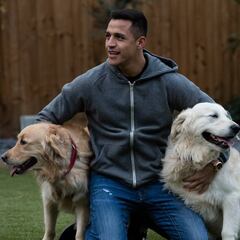 La desesperada "propuesta" de los hinchas de Arsenal por Alexis