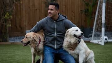 La desesperada "propuesta" de los hinchas de Arsenal por Alexis