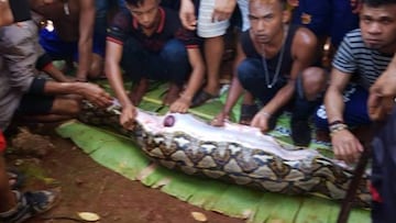 Encuentran en una pit&oacute;n gigante el cad&aacute;ver intacto de una mujer.