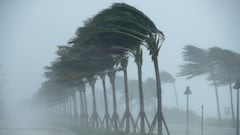 2025 hurricane season forecasts are here: Will there be more storms than last year, and how strong?