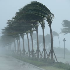 Tropical Storm Melissa expected to become a hurricane: will the United States be affected?