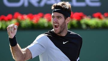 Del Potro - Nishioka: horario, canal de TV y cómo ver online