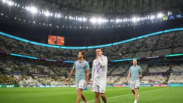 LUSAIL CITY, QATAR - NOVEMBER 24: Srdjan Babic and Filip Kostic of Serbia inspect the pitch prior to the FIFA World Cup Qatar 2022 Group G match between Brazil and Serbia at Lusail Stadium on November 24, 2022 in Lusail City, Qatar. (Photo by Shaun Botterill - FIFA/FIFA via Getty Images)