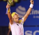 David Ferrer se clasifica para cuartos de final de Acapulco