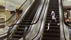 El meme de Rüdiger tras irse del Mundial que es rompe las redes