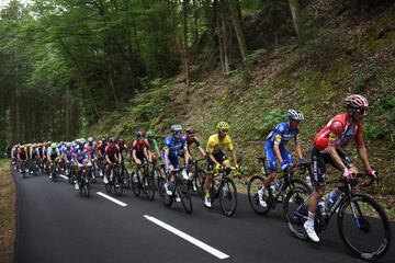 Ciccone se viste de amarillo en la sexta etapa del Tour