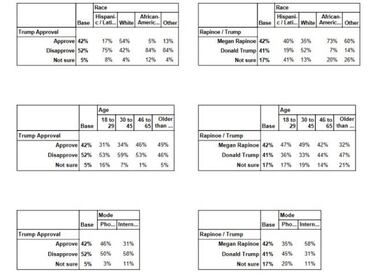 Megan Rapinoe for President after winning the World Cup?