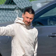 Ibrahimovic vuelve a Milán para seguir con su recuperación