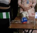 ¿Quién pasa? Argentina o Nigeria: el 'Pulpo Paul' de Rusia decide