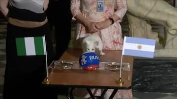 ¿Quién pasa? Argentina o Nigeria: el gato Achilles decide