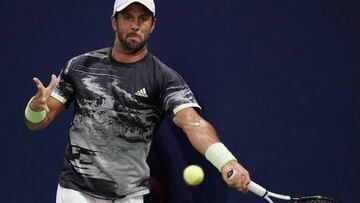 Fernando Verdasco ejecuta una derecha.