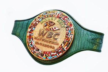 El cinturón del dinero, en juego en el Mayweather vs McGregor
