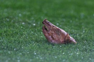 23-11-2002. When Luis Figo stepped up to take a corner on his return to Camp Nou as a Madrid player, he was bombarded with a shower of objects including a pigs head.