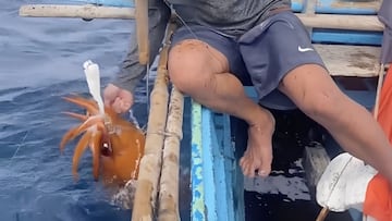 Captura un calamar de 12 kilos y el enorme molusco contraataca sin miramientos: “Fue un tirador perfecto”