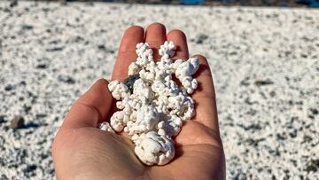 Las ‘palomitas’ ponen en riesgo las playas de Fuerteventura