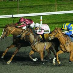 Tripoli Flyer, nuestro favorito este sábado para Kempton... ¡a cuota 3.8!