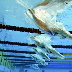 Budapest cerrará antes de Navidad un 2024 atiborrado de natación