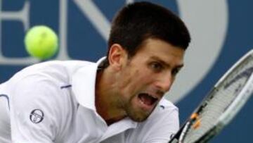 Dolgopolov hizo trabajar a Djokovic