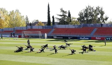 Entrenamiento físico del grupo. 