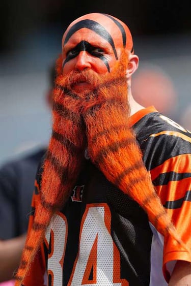 Un repaso breve a la AFC este y la AFC norte