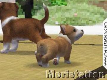 Captura de pantalla - nintendogs_04.jpg