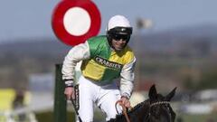 Grand National at Aintree: the five sub plots surrounding it