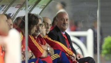 Vicente del Bosque