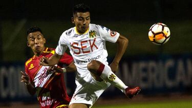 En el potrero de Sudamérica