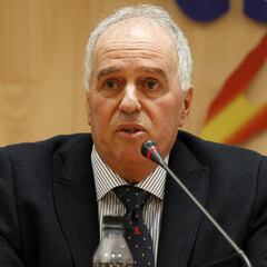 Alfonso Feijoo compareció ante el tribunal de apelación