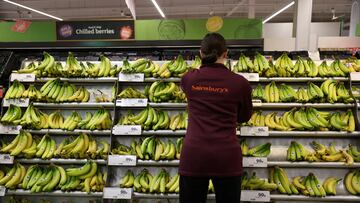 FILE PHOTO: An employee arranges Fairtrade bananas inside a Sainsbury?s supermarket in Richmond, West London, Britain February 21, 2024. REUTERS/Isabel Infantes/File Photo
