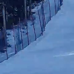 Unos esquiadores, atemorizados por un ciervo en Canadá