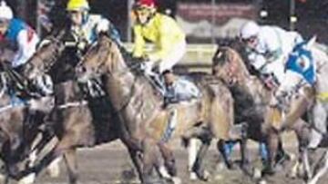 <b>NOCTURNAS. </b>Mijas, de carreras cada medianoche del sábado.