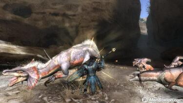 Monster Hunter Tri, Impresiones