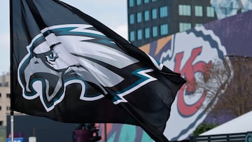 NEW ORLEANS (United States), 09/02/2025.- A Philadelphia Eagles fans waves the Eagles flag past at the Caesar SuperDome before the Super Bowl LIX between the Kansas City Chiefs and the Philadelphia Eagles at Caesars Superdome in New Orleans, Louisiana, USA, 09 February 2025. The Super Bowl is the annual championship game of the NFL between the AFC Champion and the NFC Champion and has been held every year since 1967. (Nueva Orleáns, Filadelfia) EFE/EPA/CJ GUNTHER
