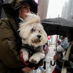 Una española ve en un centro comercial de Shanghái la “cosa más horrible” que ha visto en su vida