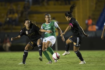 5 anotaciones- León