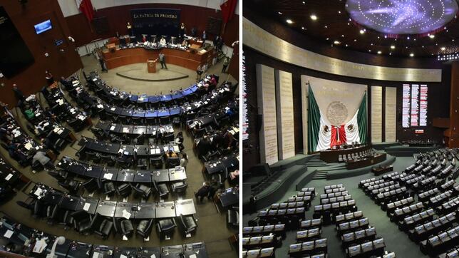 Elecciones México 2024: ¿cómo van los resultados de los curules en la Cámara de Diputados y Senadores?