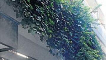 "Hemos recibido amenazas telefónicas. Es insoportable"