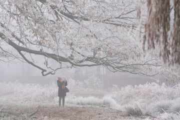 Una persona se detiene a tomar fotografías de un árbol helado en el Bushy Park de Londres. 