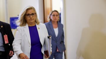 Liz Cheney looks set to lose House seat in Wyoming