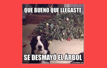 Los mejores memes para enviar por WhatsApp en fin de año 